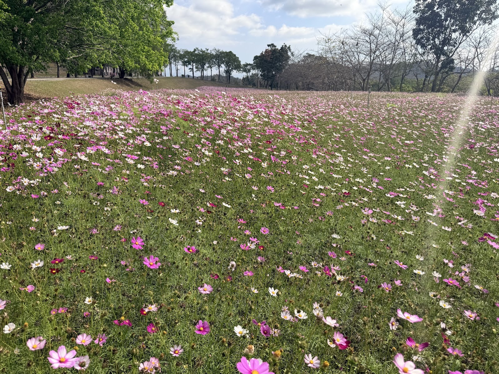 高師大校園風景